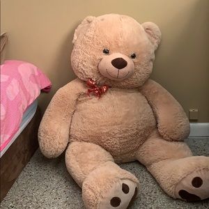 Teddy